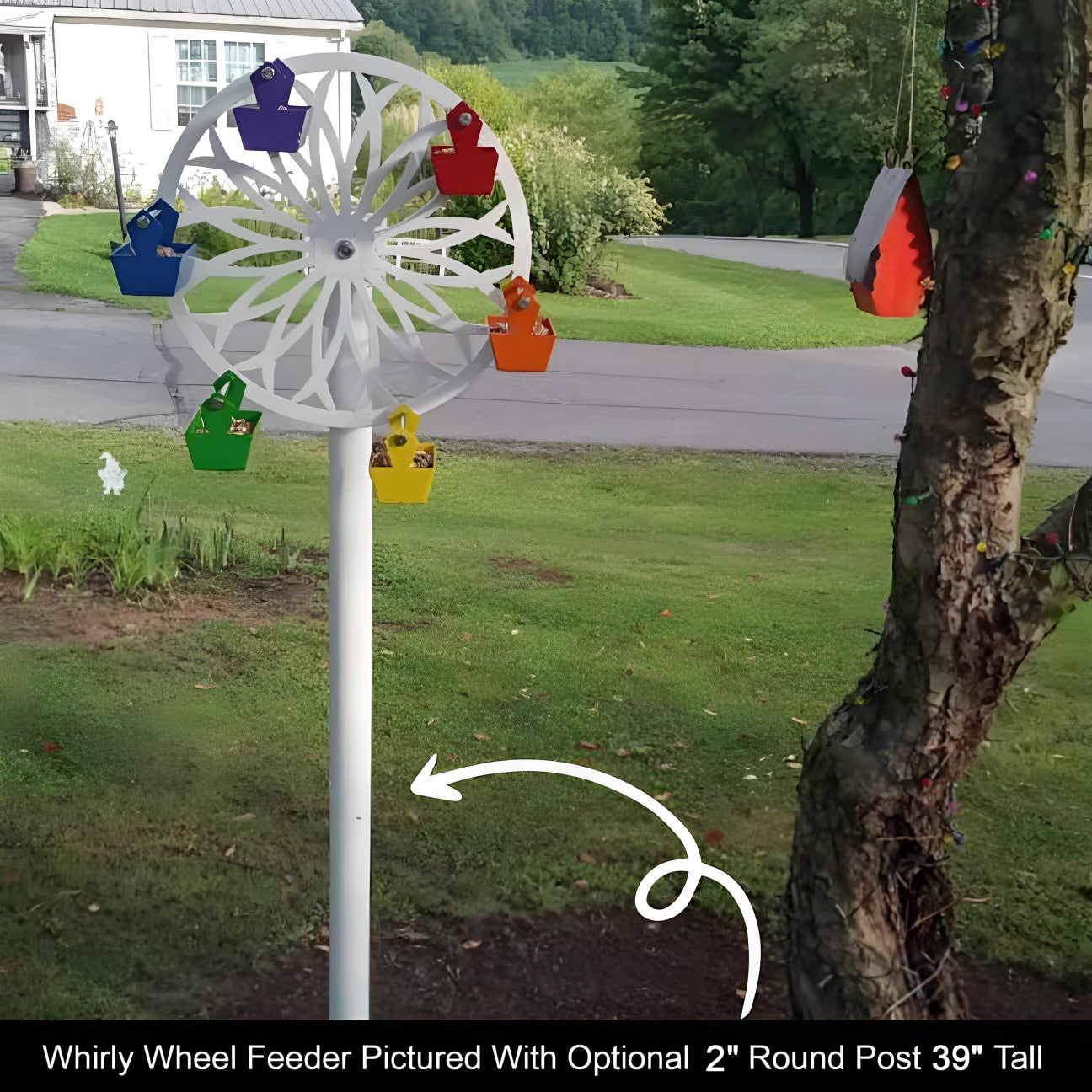 The Ferris Wheel of Fun for Your Feathered Friends