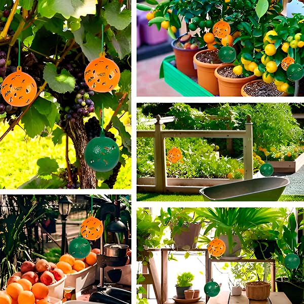 Hanging Fly Trap with Adhesive Layer (6 Pcs)