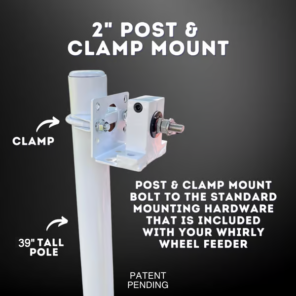 The Ferris Wheel of Fun for Your Feathered Friends