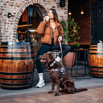 The Dog Harness That Stops Pulling — Without Sacrificing Comfort