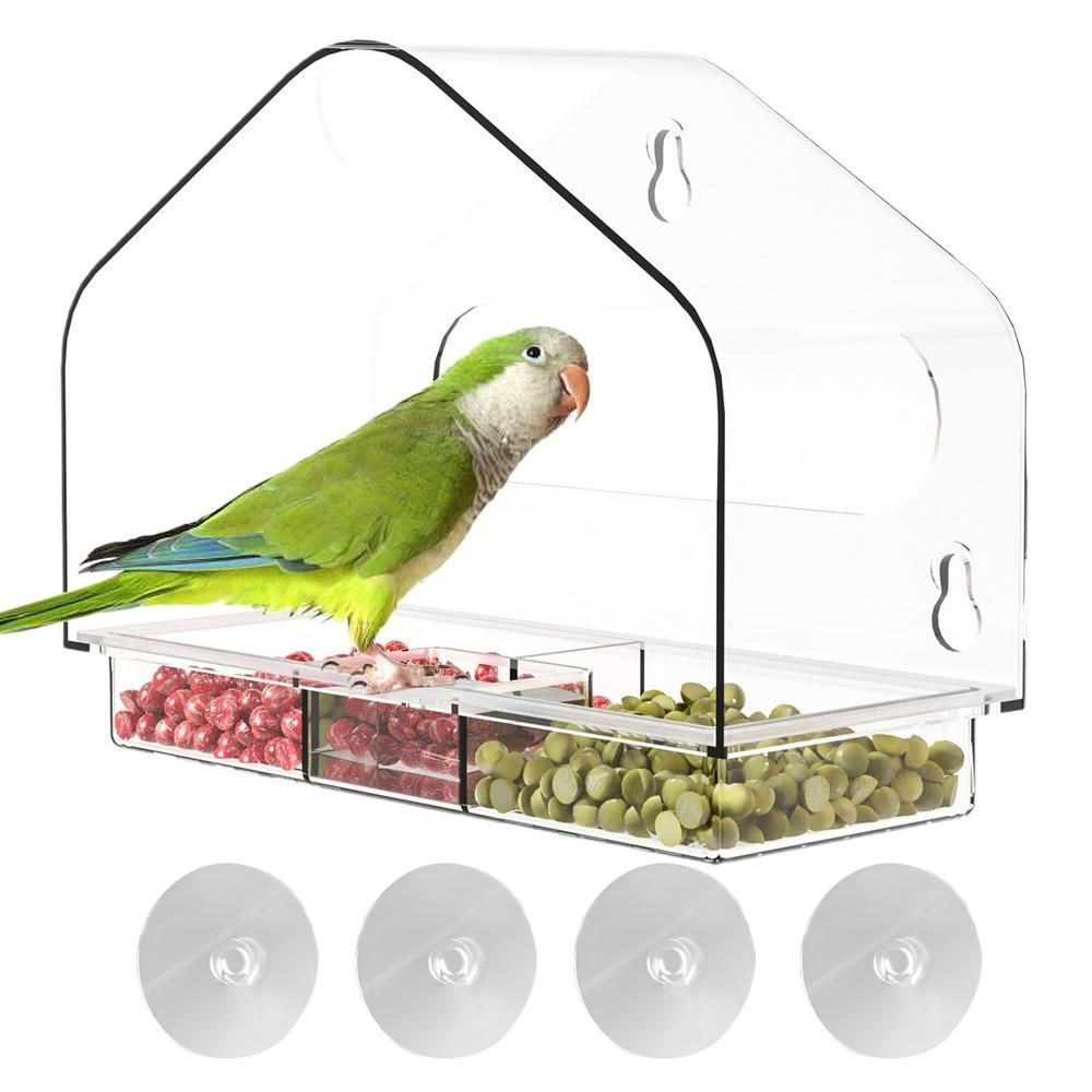 Transparent Acrylic Window Hummingbird Bird Feeder