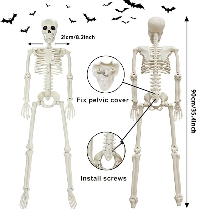 Life-Size Skeleton Decoration