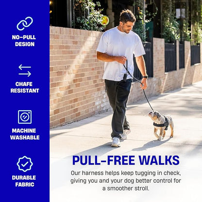 The Dog Harness That Stops Pulling — Without Sacrificing Comfort