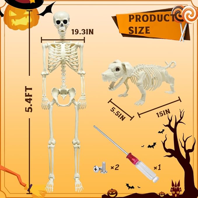 Life-Size Skeleton Decoration