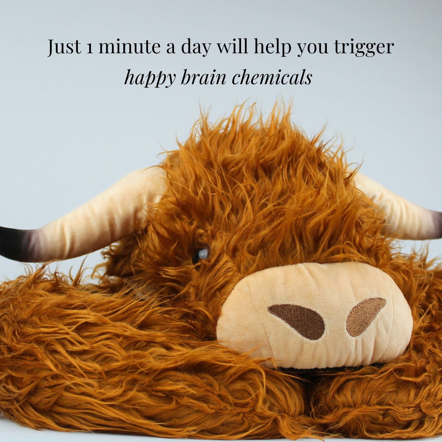 Hallie the Highland Cow Weighted Animal