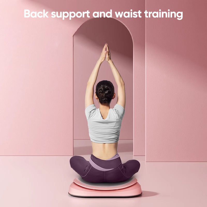 Seated Waist Twisting Machine