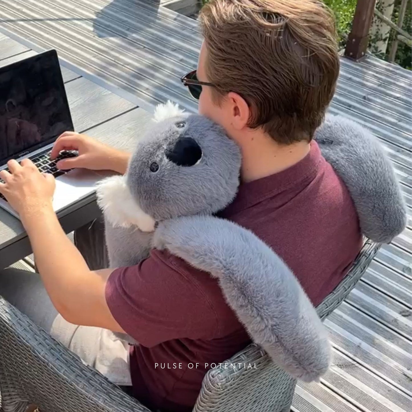 Koko the Koala Weighted Animal