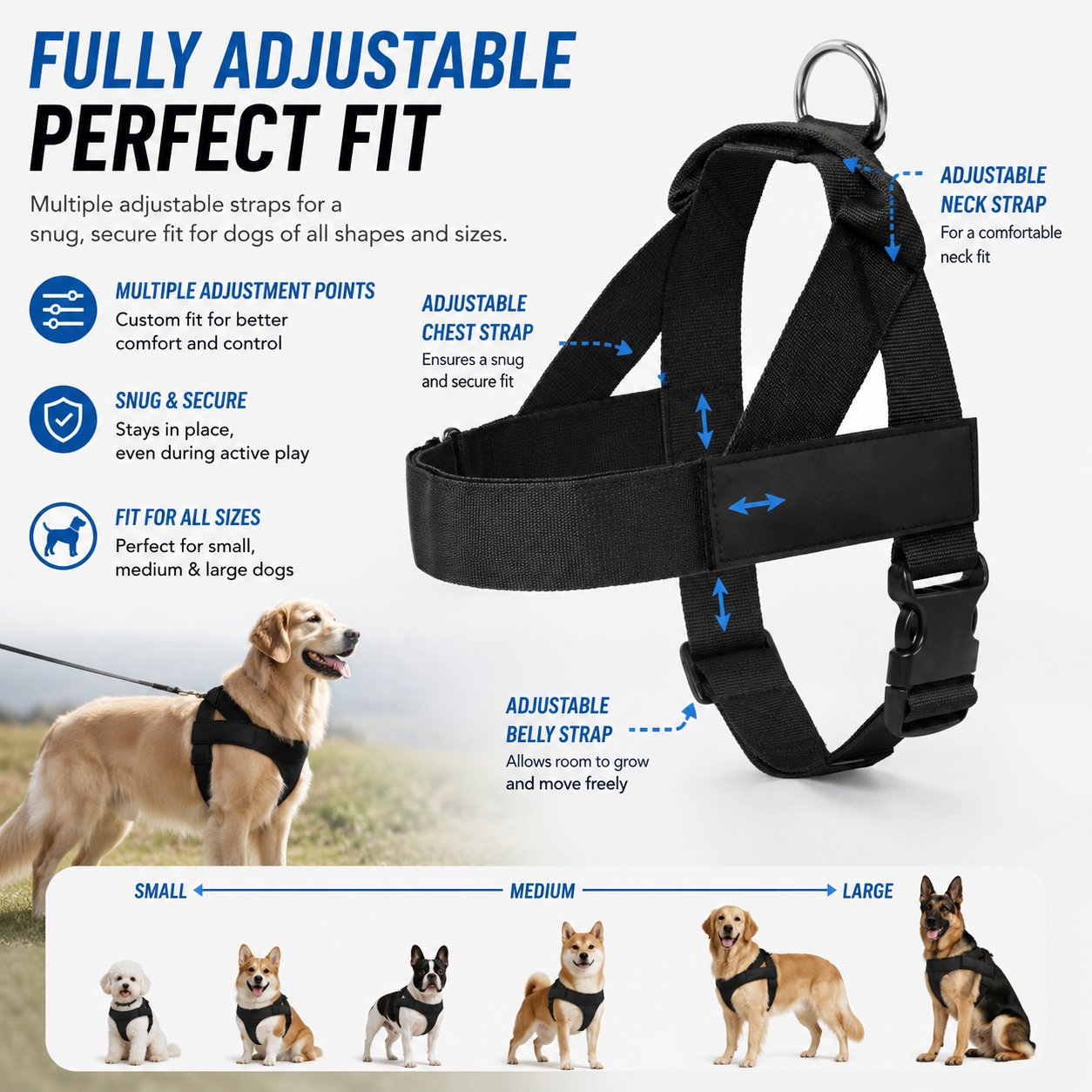 The Dog Harness That Stops Pulling — Without Sacrificing Comfort