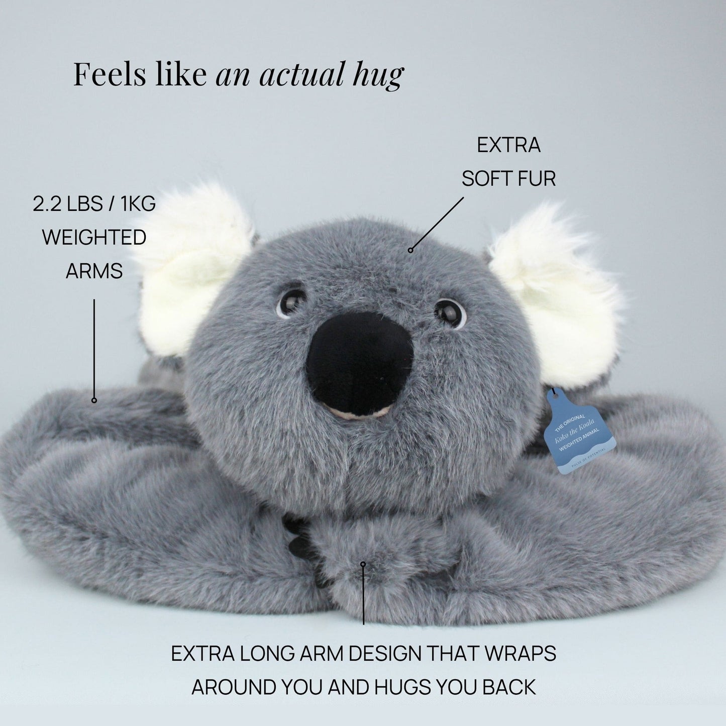 Koko the Koala Weighted Animal