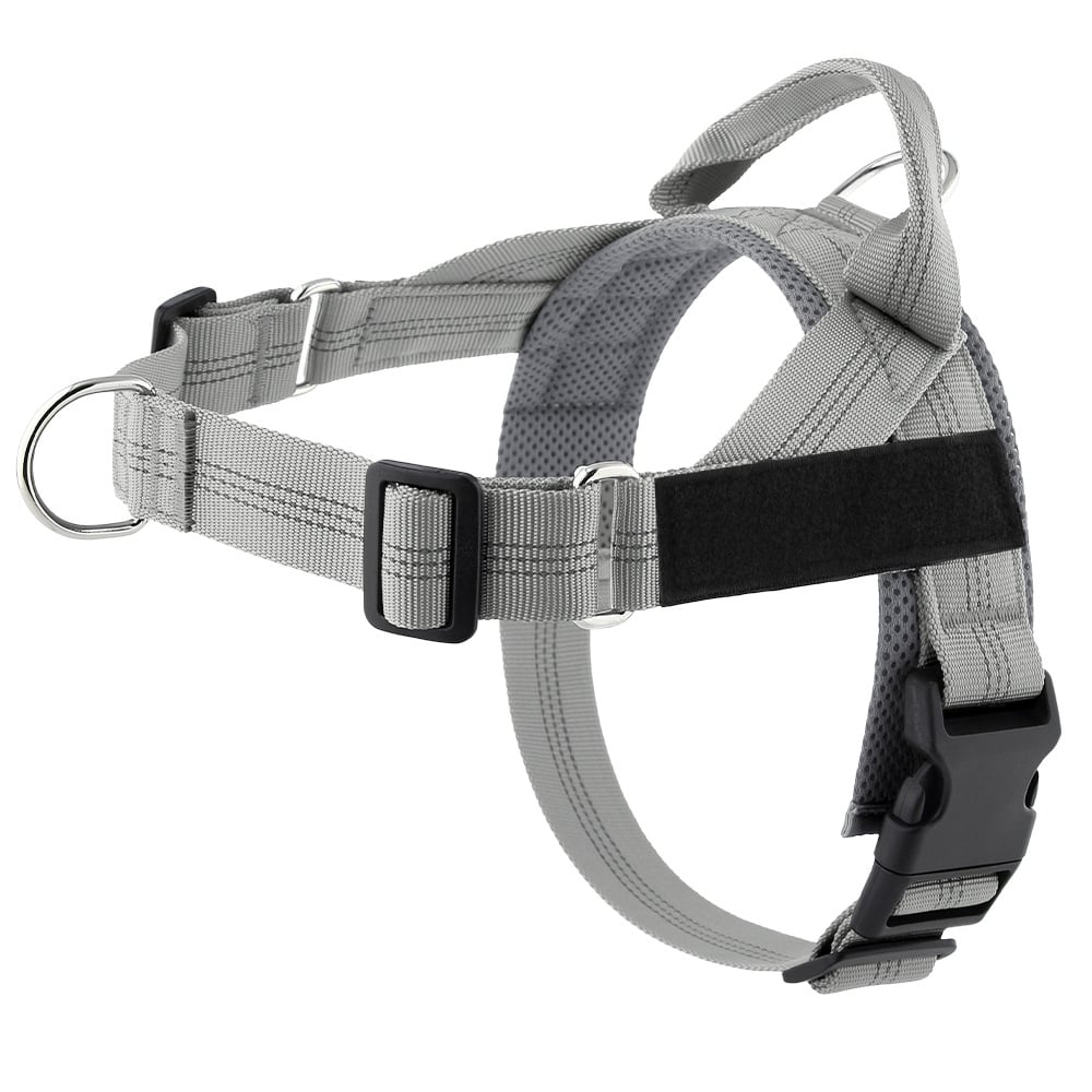 The Dog Harness That Stops Pulling — Without Sacrificing Comfort