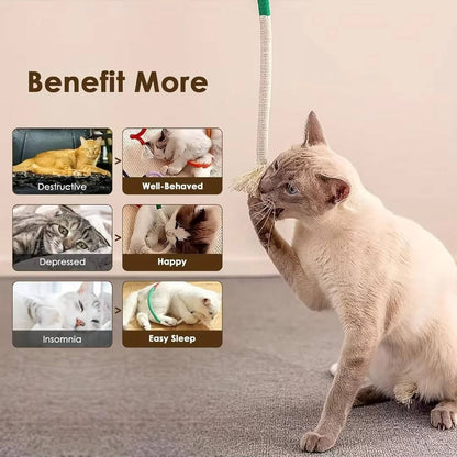 Cat Chew Toys
