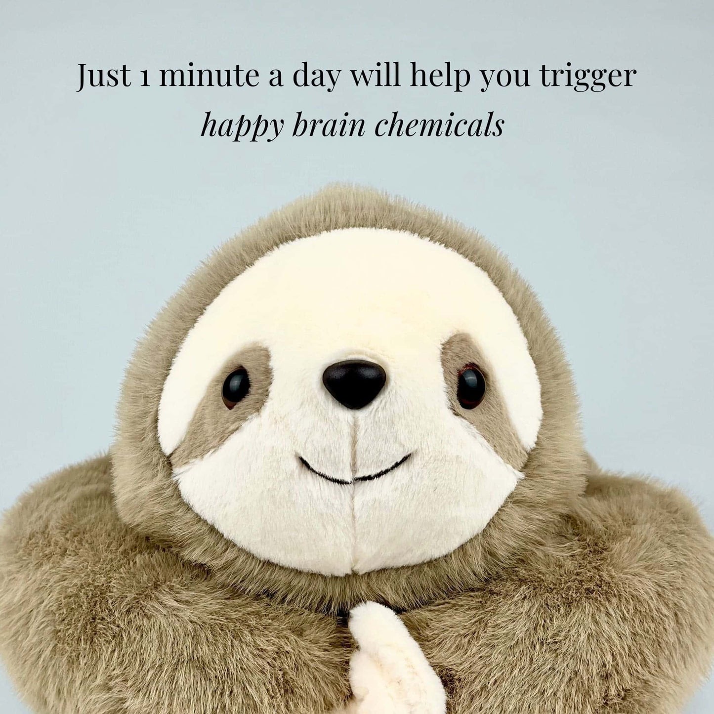 Sunnie the Sloth Weighted Animal