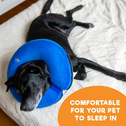 Inflatable Pet Recovery Collar with Inner Loop System and Adjustable Air Pressure, Large Blue