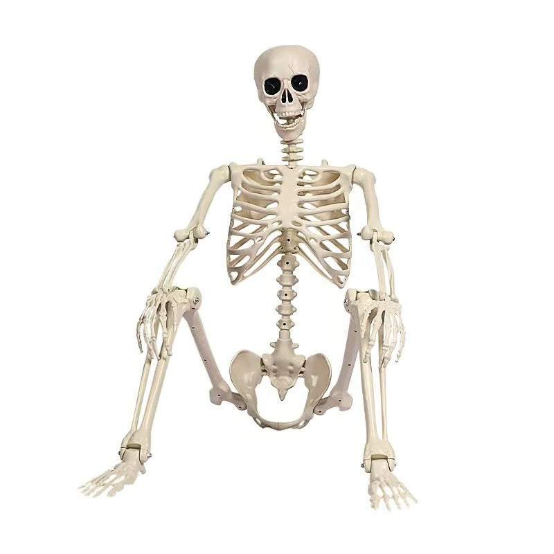 Life-Size Skeleton Decoration
